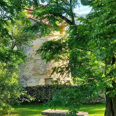 Calvignac Mas De Garrigue Bed & Breakfast エクステリア 写真