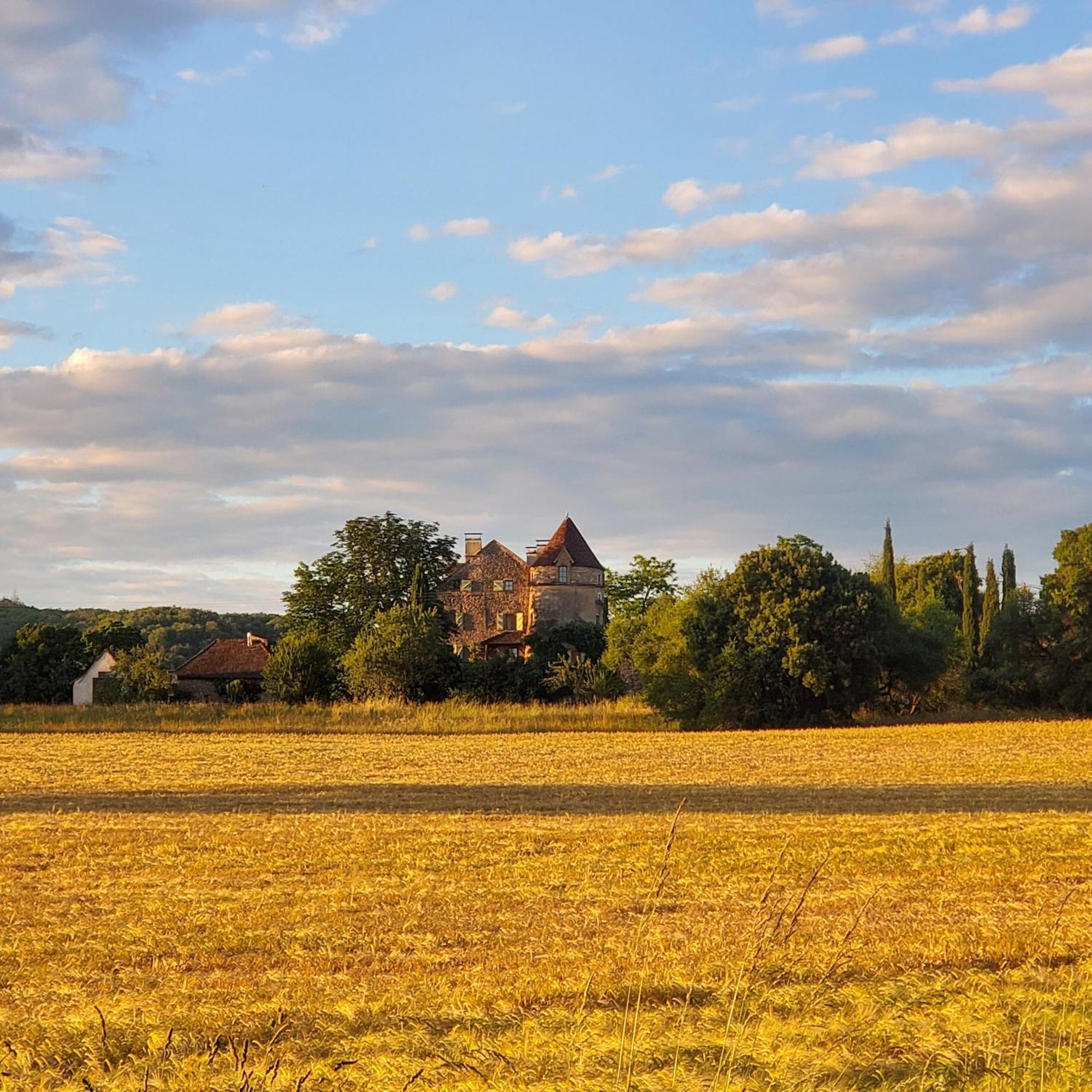 Calvignac Mas De Garrigue Bed & Breakfast エクステリア 写真