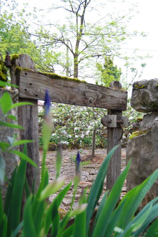 Calvignac Mas De Garrigue Bed & Breakfast エクステリア 写真