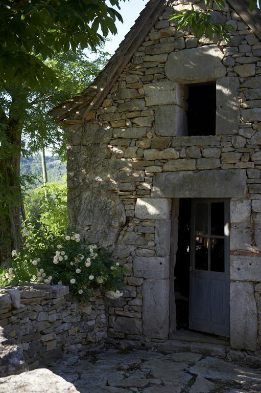 Calvignac Mas De Garrigue Bed & Breakfast エクステリア 写真